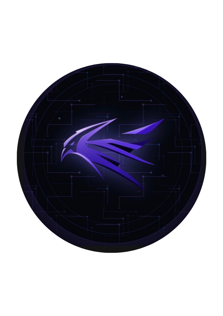 Cyber Falcon